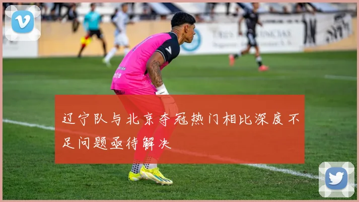 辽宁队与北京夺冠热门相比深度不足问题亟待解决