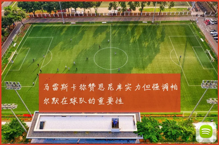 马雷斯卡称赞恩昆库实力但强调帕尔默在球队的重要性